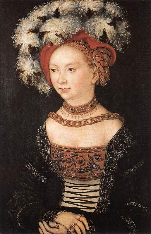 CRANACH, Lucas the Elder Portrait of a Young Woman dfg china oil painting image